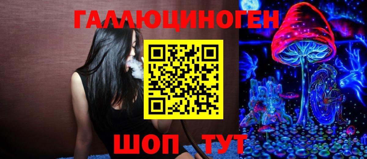 Галлюциногенные грибы Psilocybine cubensis Великий Новгород