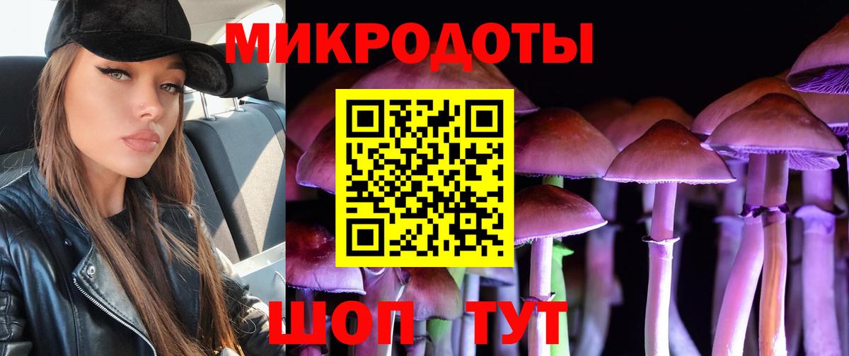 Галлюциногенные грибы Cubensis  Вход с VPN  Великий Новгород 